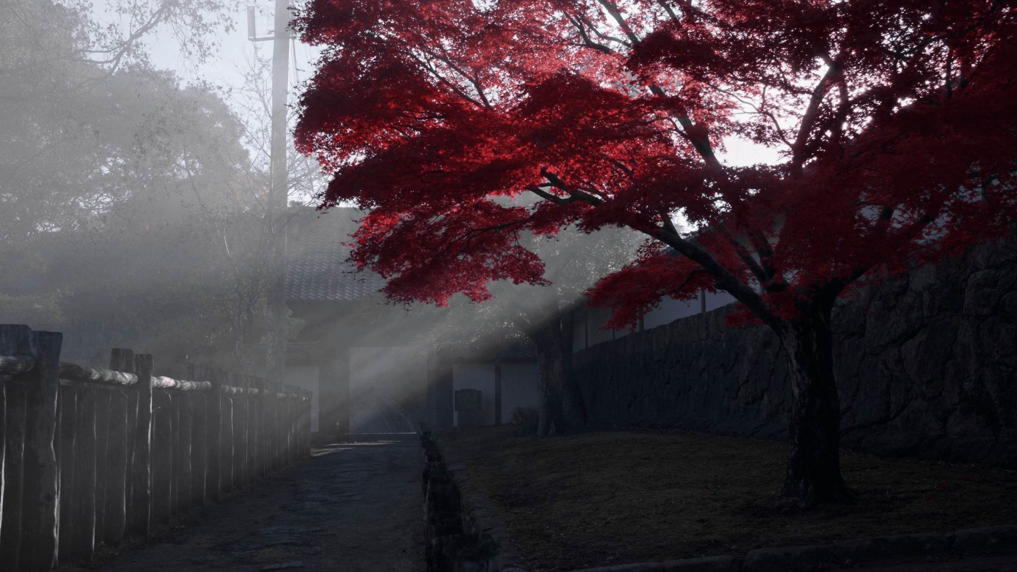 Japão